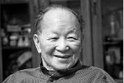 黄苗子